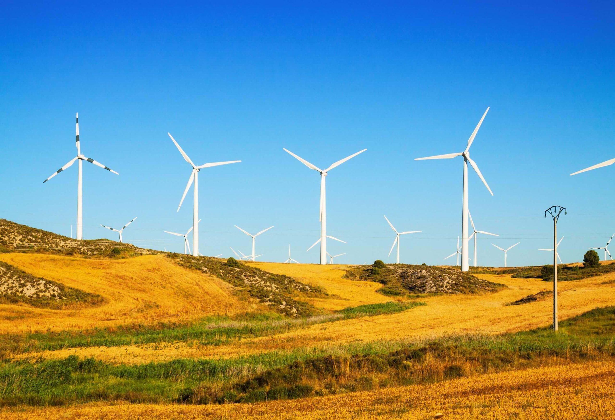 What is wind energy? Uses and Generation of Wind Energy